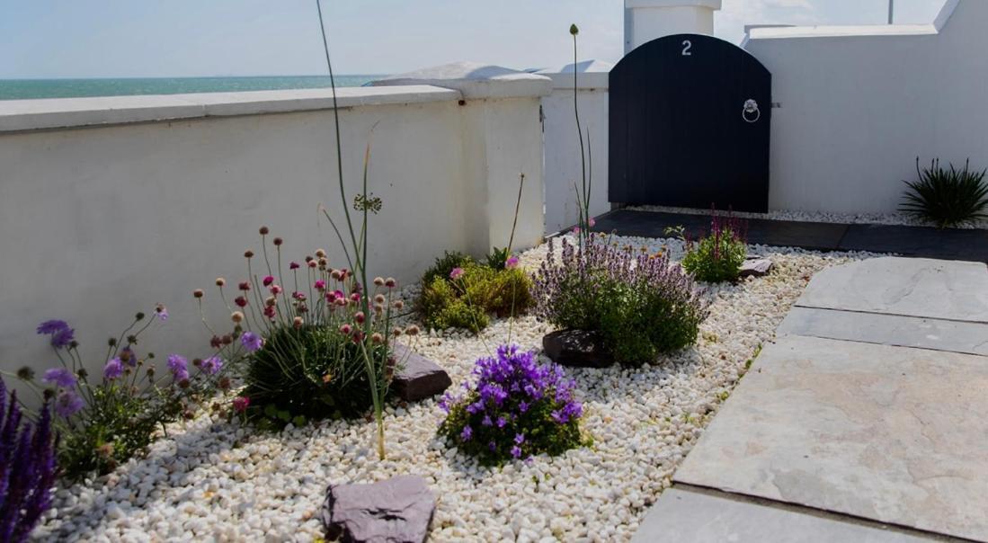 Beach View, 4 Bedroom House Opposite The Sea! Sleeps 10 桑盖特 外观 照片